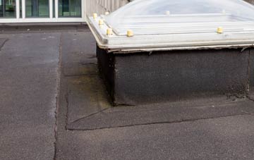 disadvantages of Herons Ghyll flat roofs